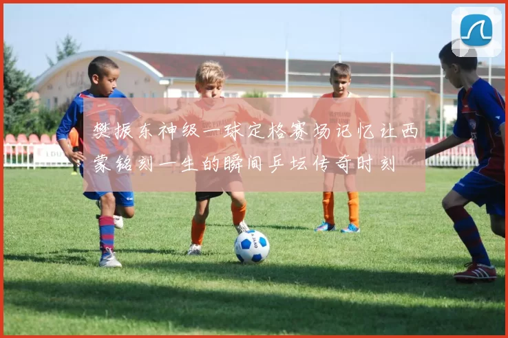 樊振东神级一球定格赛场记忆让西蒙铭刻一生的瞬间乒坛传奇时刻