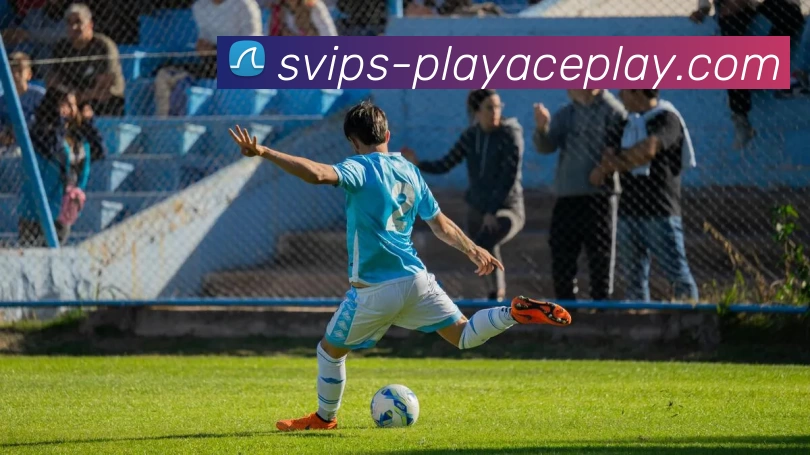 PLAYACE官网平台生态图